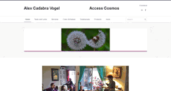 Desktop Screenshot of alexcadabravogel.com